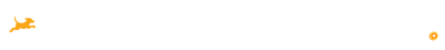 Fetch | Live Rewarded